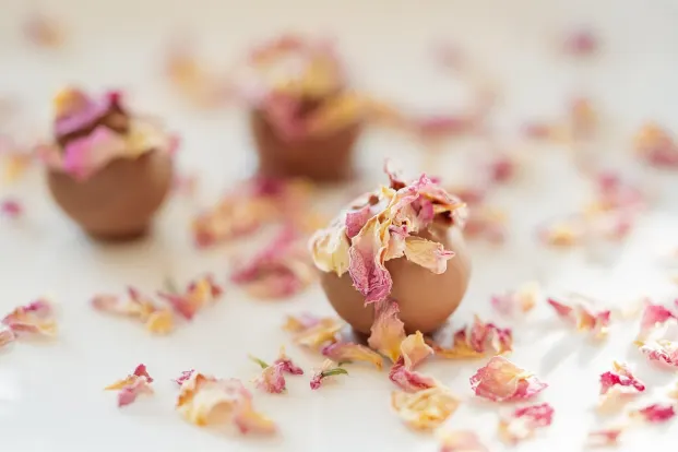 크리스탈 카지노 안드로이드/iOS 앱