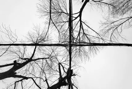 크리스탈 카지노 모바일 앱